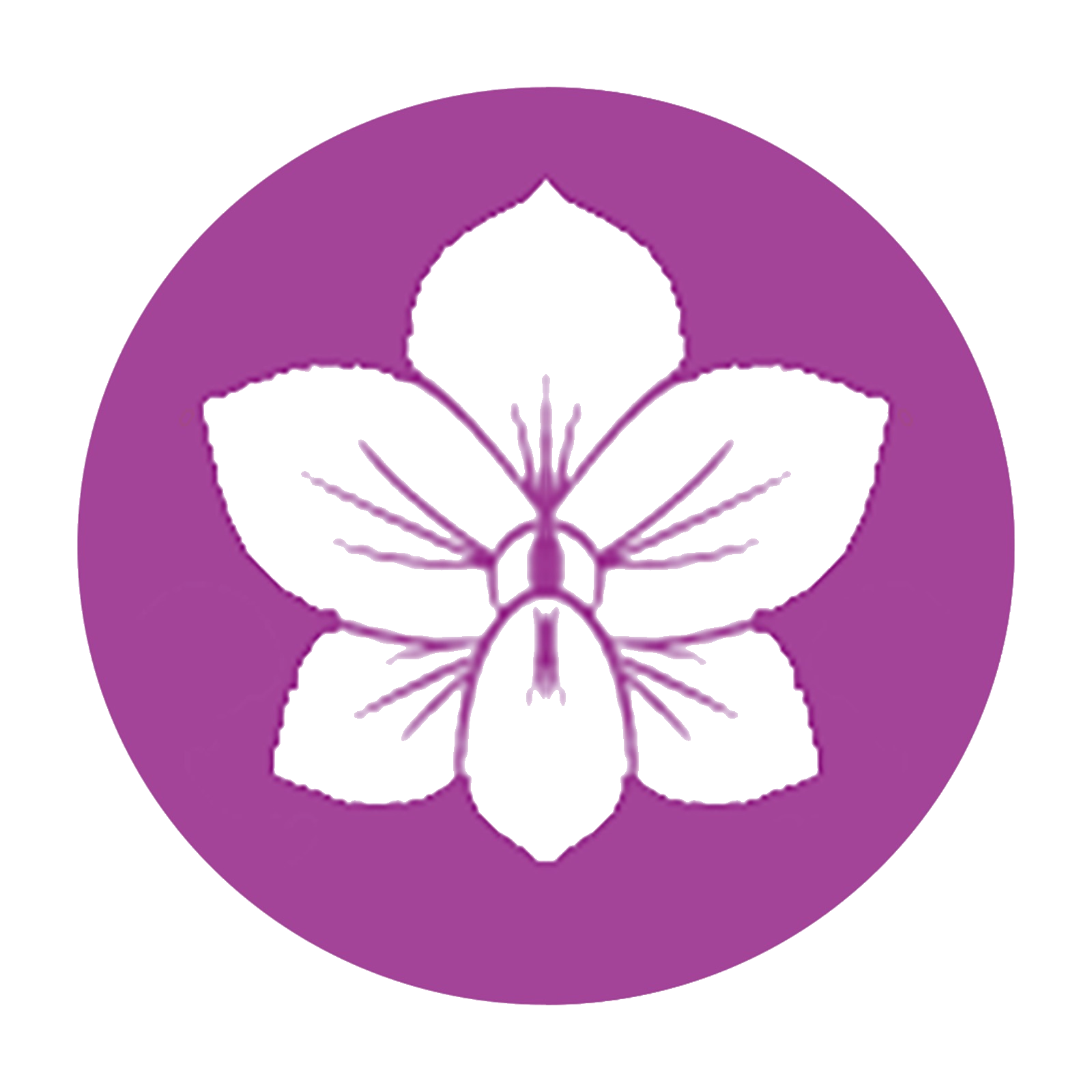 B4YM Logo